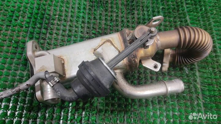 Радиатор системы EGR Citroen C-Crosser 2007