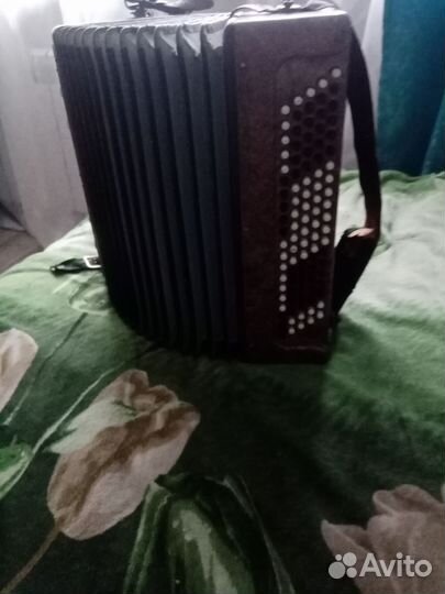 Баян