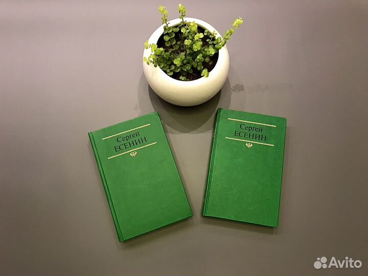 Сергей Есенин 2 тома