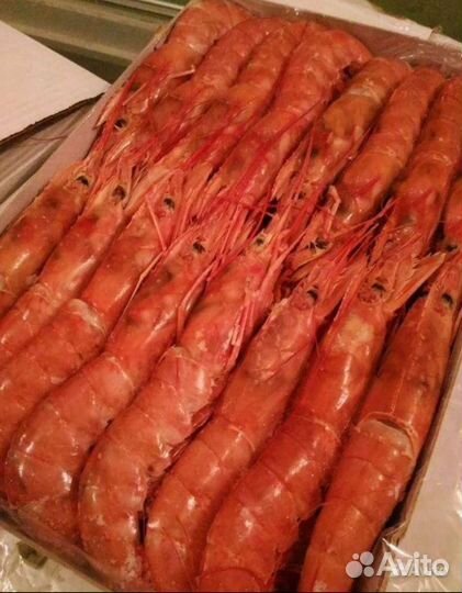 Лангустины