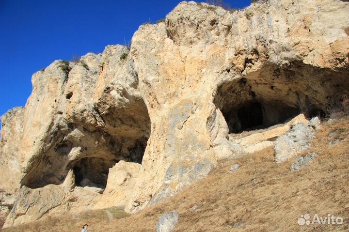 Конные прогулки