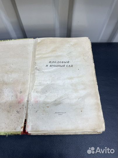Книга Плодовый ягодный сад 1960г