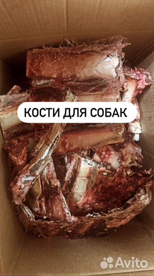 Мясо и кости для собак