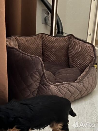 Лежанка для маленьких собак