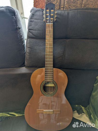 Гитара Alcora 202