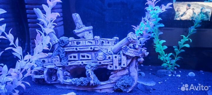 Аквариум с тумбой 145 литров