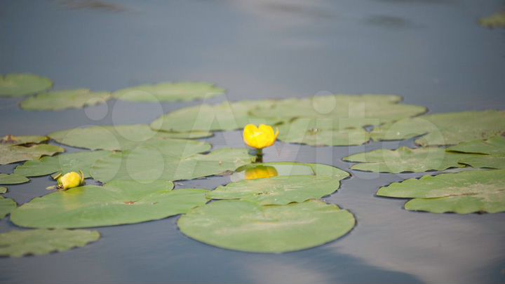 Дача 138 м² на участке 12 сот.