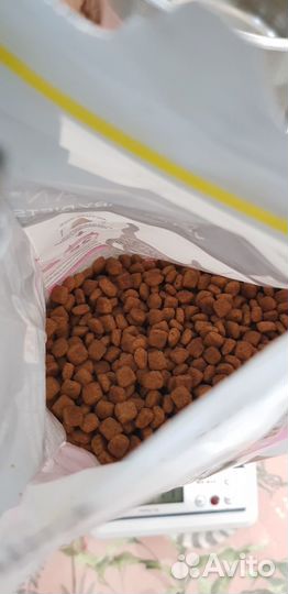 Корм для кошек Pro Plan Urinary 1.5 кг