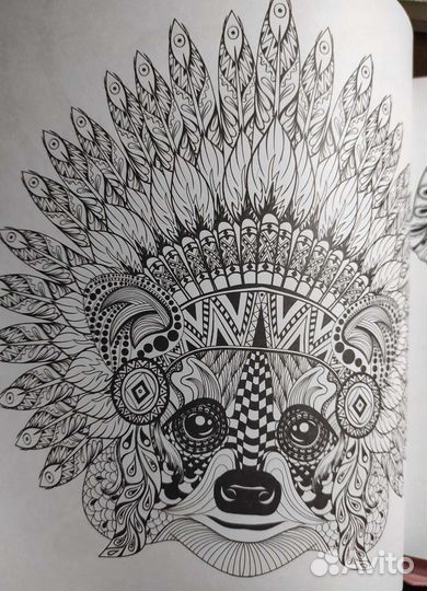 Раскраска Чудесный мир животных