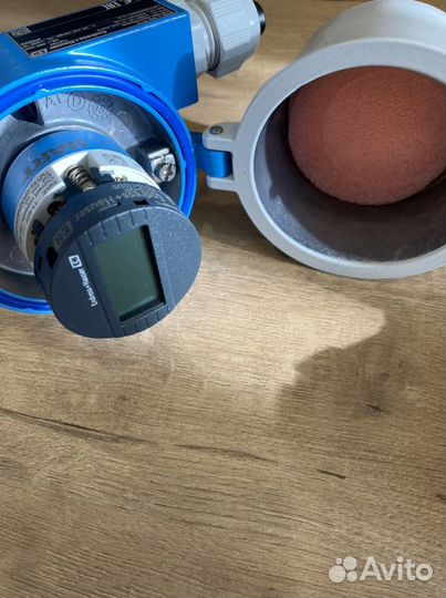 Endress hauser tr-88