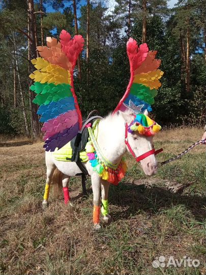 Вальтрапы, амуниция, попона,комплект,крылья