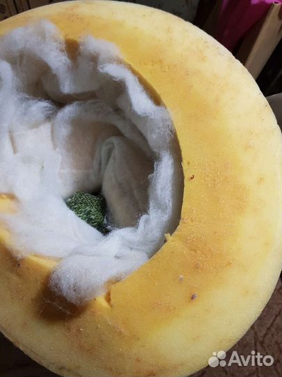 Акустический поролон