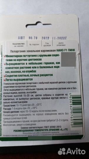 Герань пеларгония