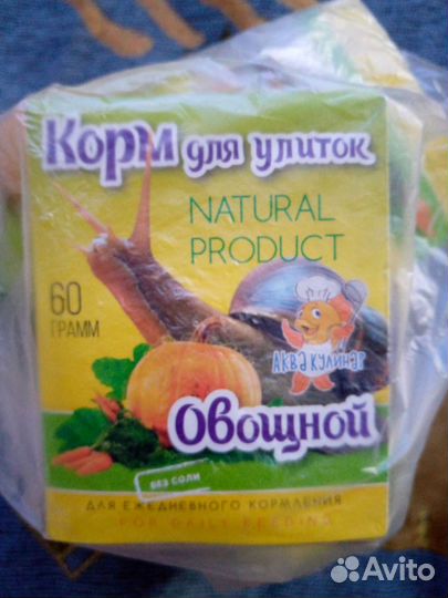 Улитки