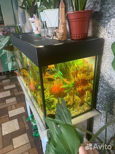 Аквариум с тумбой