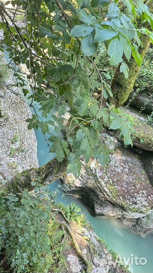 Экскурсии каньон Псахо