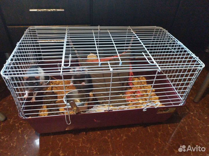 Клетка для грызунов