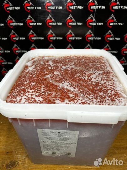 Красная Икра 2023г оптом без посредников