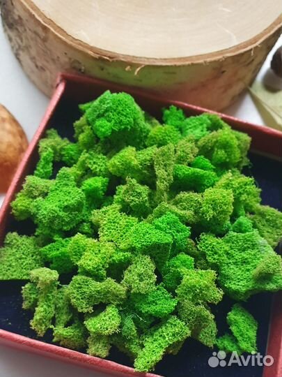 Природные материалы для поделок в сад