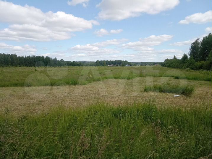 Участок 3,6 га (СНТ, ДНП)