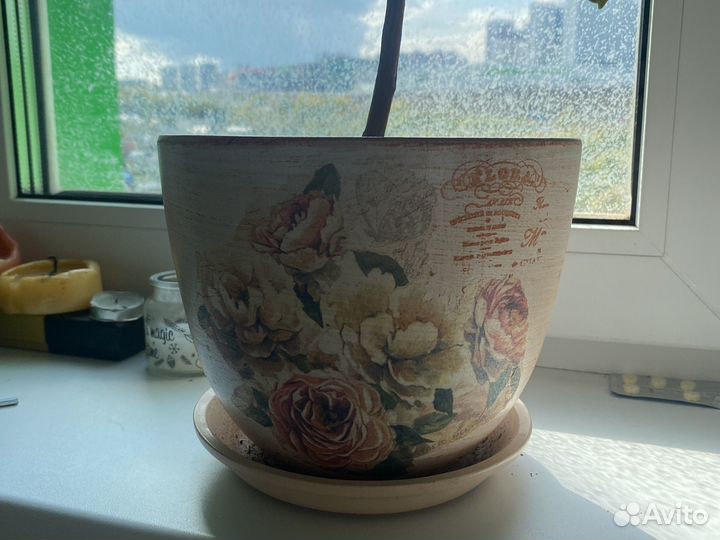 Горшки для цветов керамика