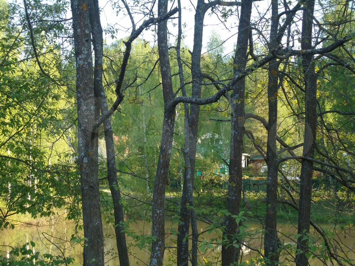 Участок 5,8 га (СНТ, ДНП)