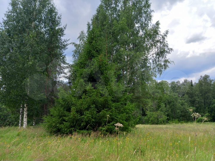 Участок 1,6 га (СНТ, ДНП)