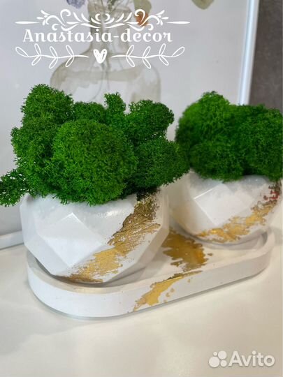 Кашпо со мхом