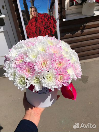 Хризантемы в боксе