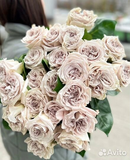 51 101 Роза Букеты Цветы