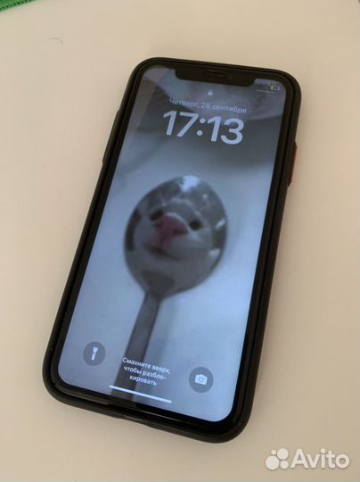 iPhone 11