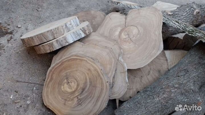 Спилы поперечные