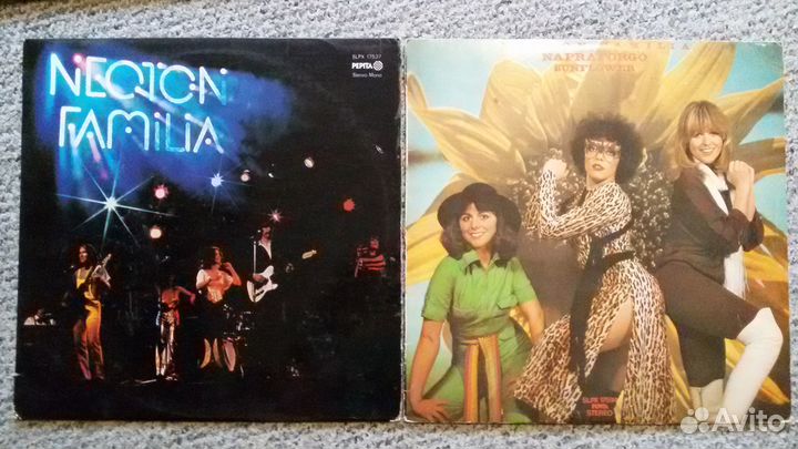 Винилы пластинки демократы