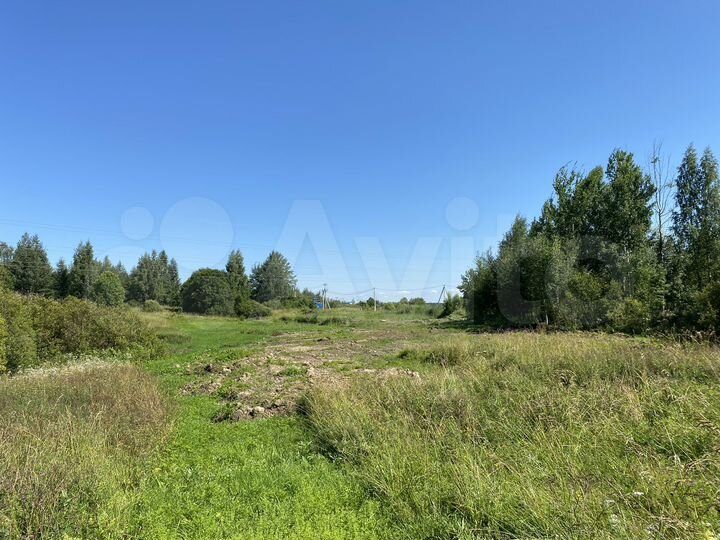 Участок 6 сот. (СНТ, ДНП)
