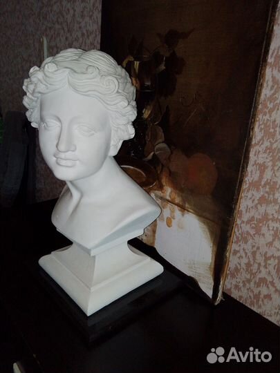 Гипсовый бюст