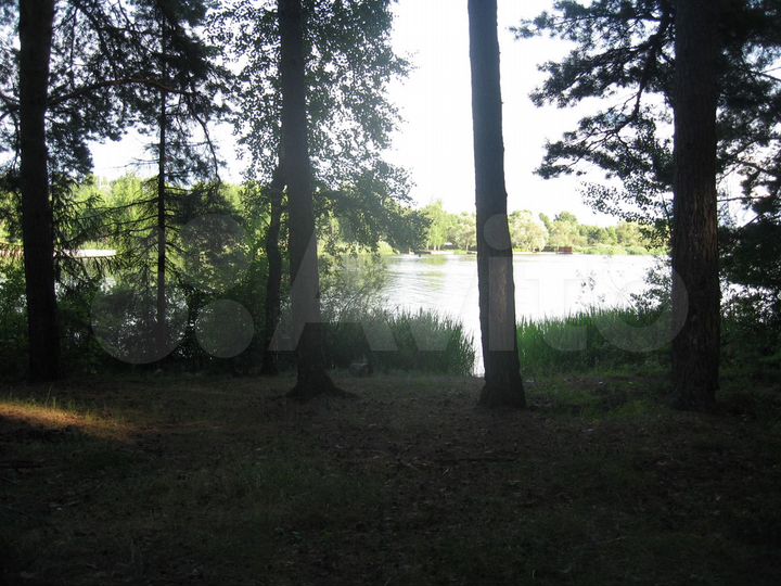 Участок 81 сот. (СНТ, ДНП)