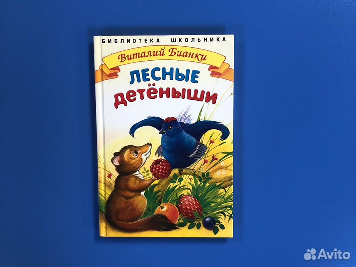 Библиотека школьника