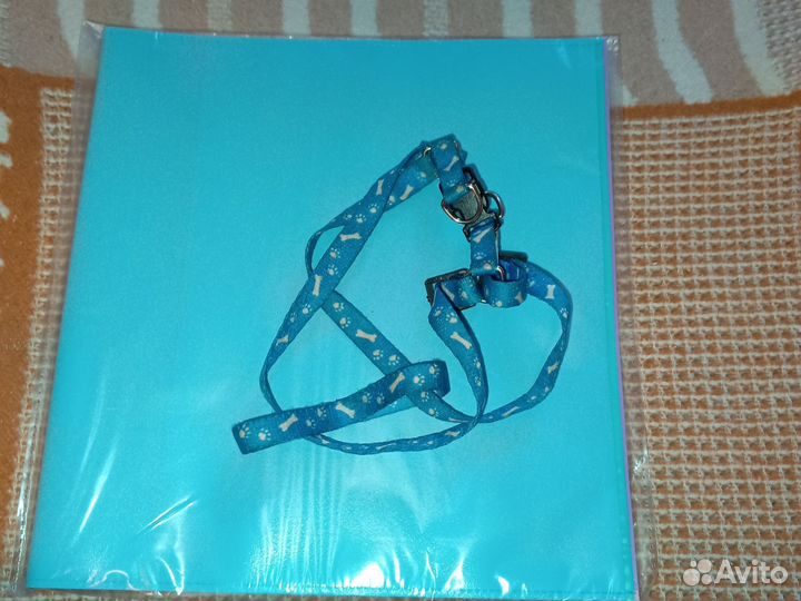 Ошейник для кота