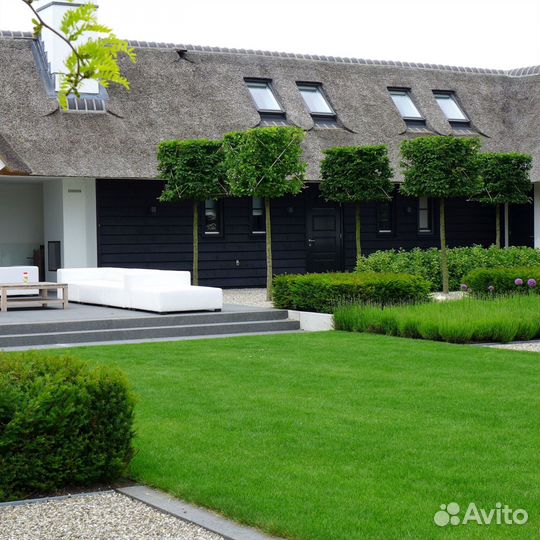 Теневыносливый рулонный газон. Укладка с гарантией