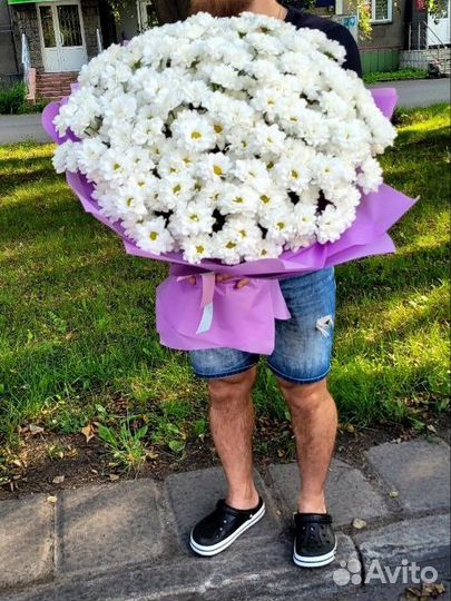 Хризантема