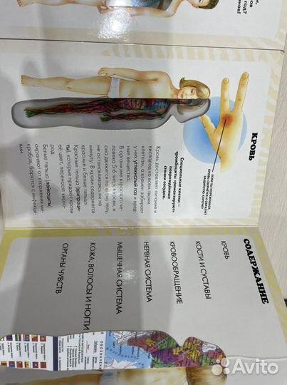 Детская энциклопедия