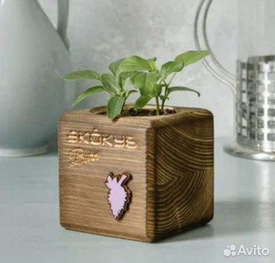 Экокуб Burn семена Набор для выращивания с подстав