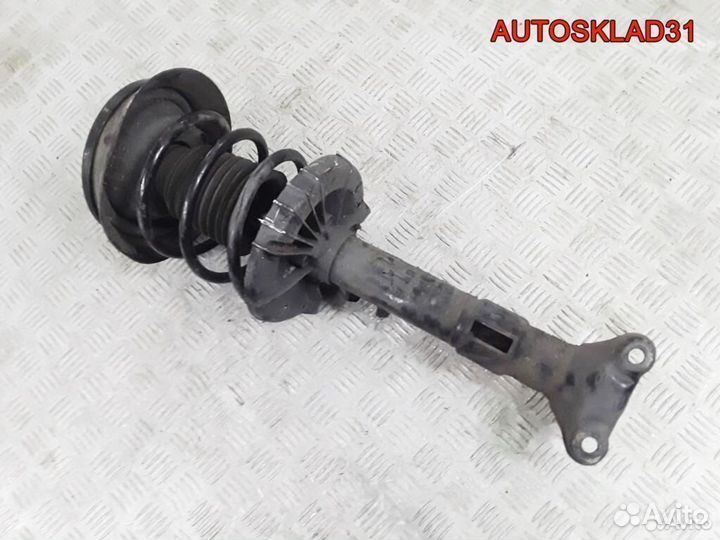 Стойка передняя в сборе Mercedes W203 A2033204130