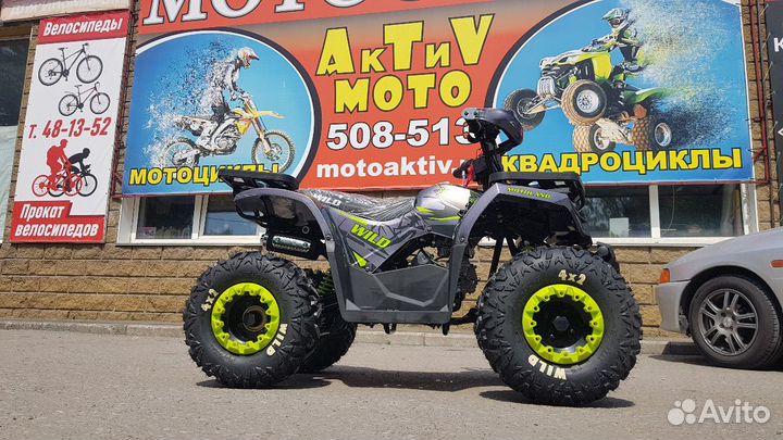 Wild 125 Lux(2023)