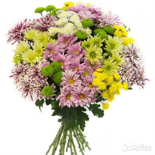 Букет из 15 хризантем Бета