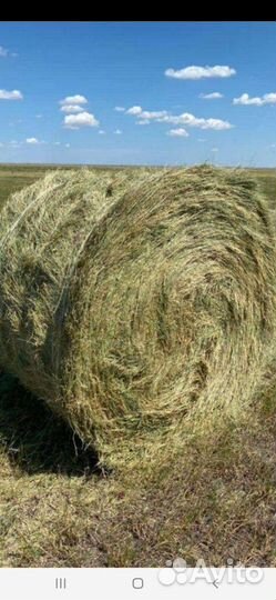 Сено