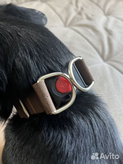 Самодельная амуниция на заказ