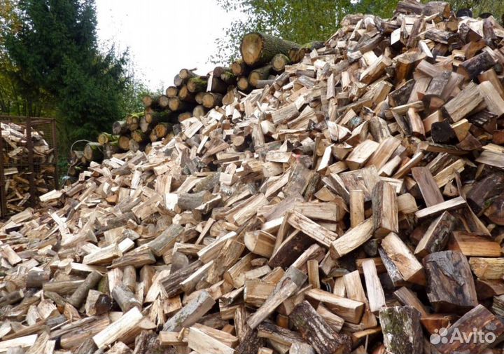 Дрова в город