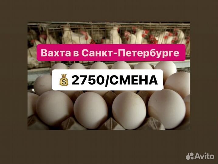 Вахта упаковщиками на птицефабрике.Купим билет