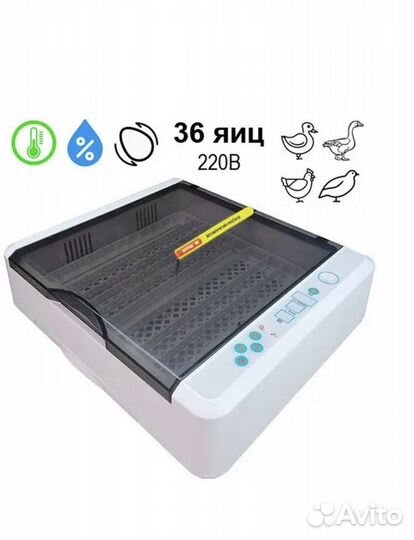Инкубатор для яиц